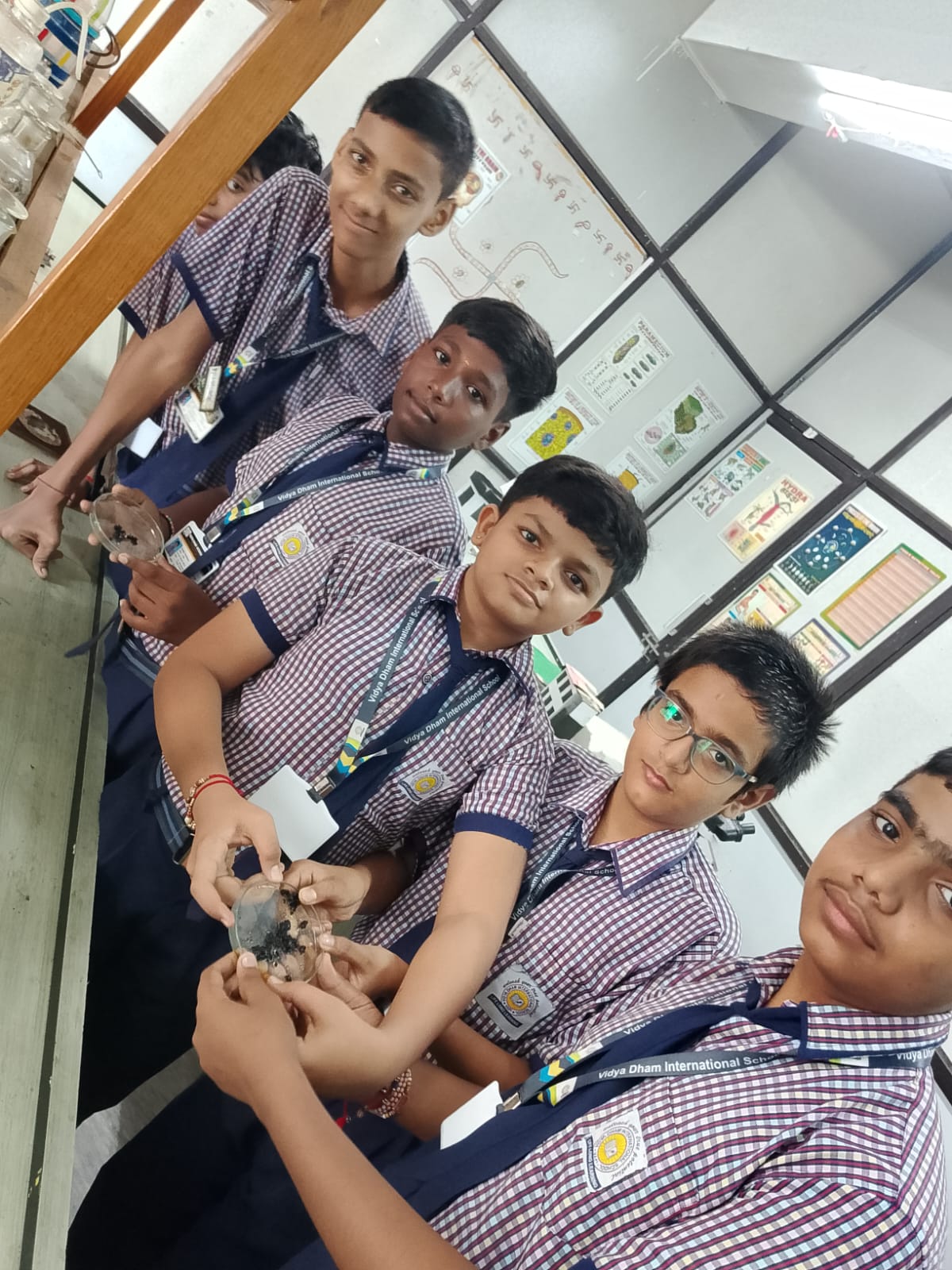 Science Lab - photo 4